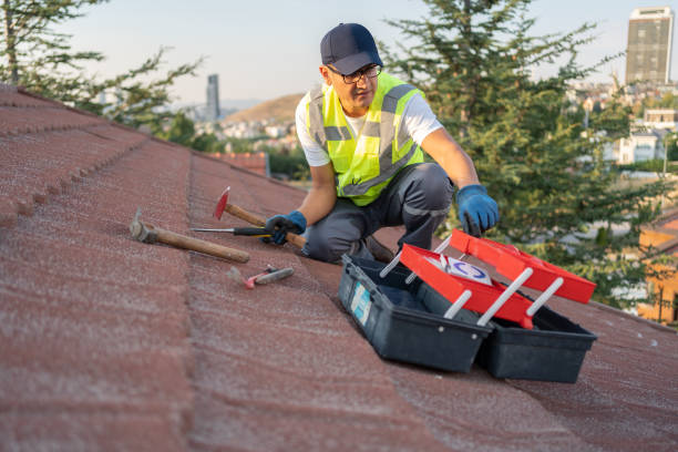 Best Yard Waste Removal  in Markham, IL